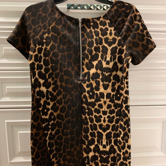 Animal print dress - Picture 5 of 5